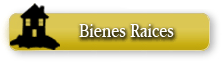 bienes raices